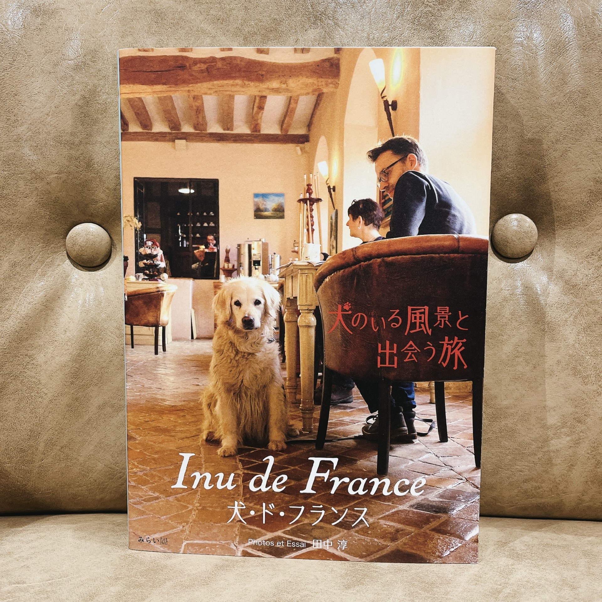 田中淳『Inu de France  犬・ド・フランス』（みらいパブリッシング）